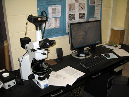 ??? Microscope