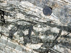 Pseudotachylite