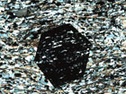 Thin Section Garnet Blast