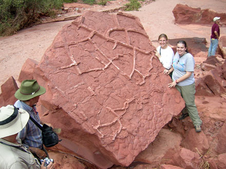 Huge Mud Cracks