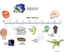 Timeline of major events in the history of the Earth