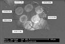surface 1 of zircon