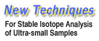 New Techniques for Stable Isotope Analysis of Ultra-small Samples