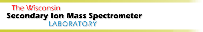 wisims logo
